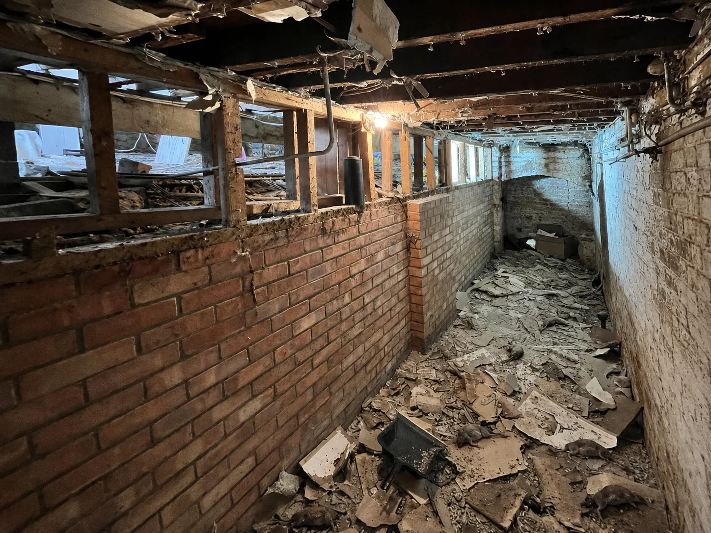 Basement 1 before renovation